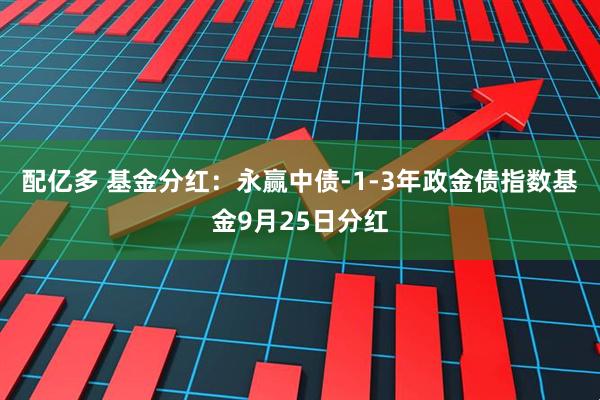 配亿多 基金分红：永赢中债-1-3年政金债指数基金9月25日分红