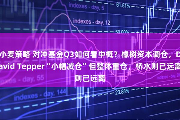 小麦策略 对冲基金Q3如何看中概？橡树资本调仓，David Tepper“小幅减仓”但整体重仓，桥水则已远离