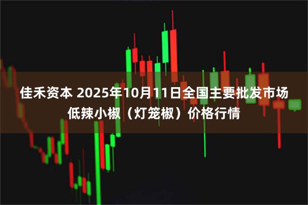 佳禾资本 2025年10月11日全国主要批发市场低辣小椒（灯笼椒）价格行情
