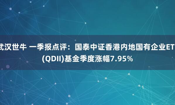 武汉世牛 一季报点评：国泰中证香港内地国有企业ETF(QDII)基金季度涨幅7.95%