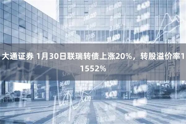 大通证券 1月30日联瑞转债上涨20%,转股溢价率11552%