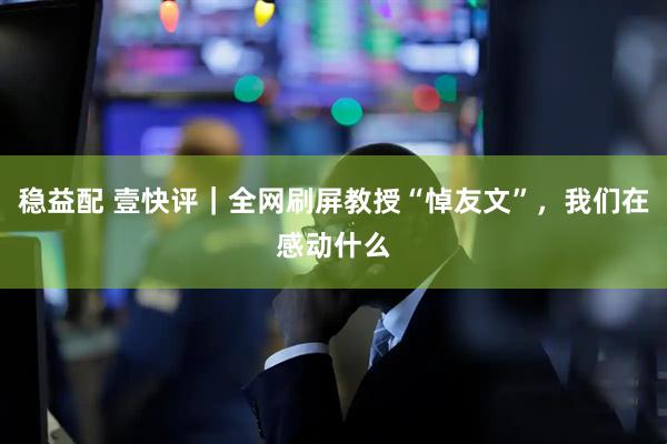 稳益配 壹快评｜全网刷屏教授“悼友文”，我们在感动什么